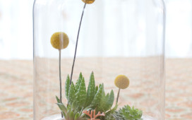 Knoll Terrarium