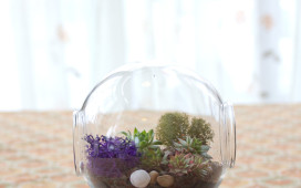 Terrarium
