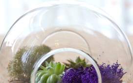 Terrarium - sideview