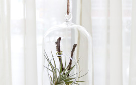 Vertical Oblong Hanging Glass Container + Airplant
