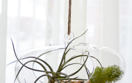 Retro Oval Hanging Air Plant
