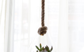 Large Teardrop Terrarium